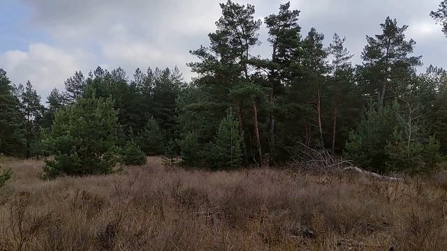 4 декабря праздник Введение во Храм Пресвятой Богородицы. Народные традиции. Запреты дня. смотреть онлайн