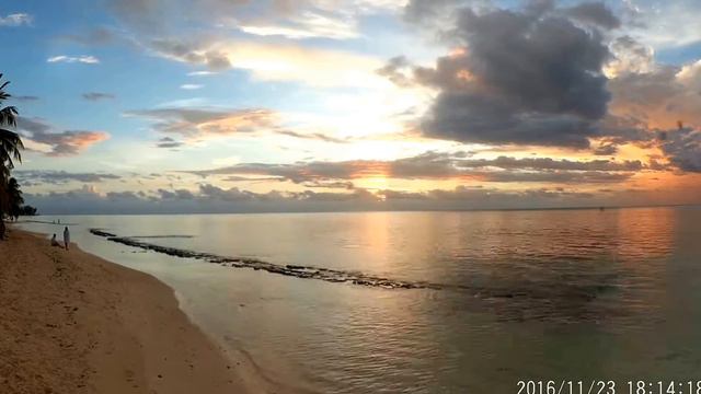 Can You Handle The Bugs! Sunset Timelapse Hotel Hibiscus Resort (Moorea, French Polynesia) смотреть онлайн