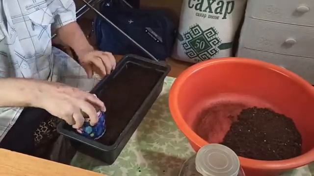 Третий посев овса для кота смотреть онлайн