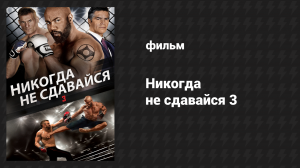 Никогда не сдавайся 3 (фильм, 2016)