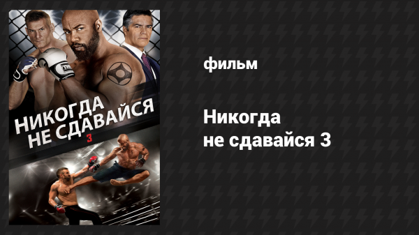 Никогда не сдавайся 3 (фильм, 2016)