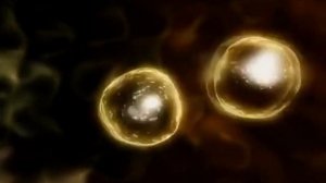 Этапы оплодотворения яйцеклетки.mp4