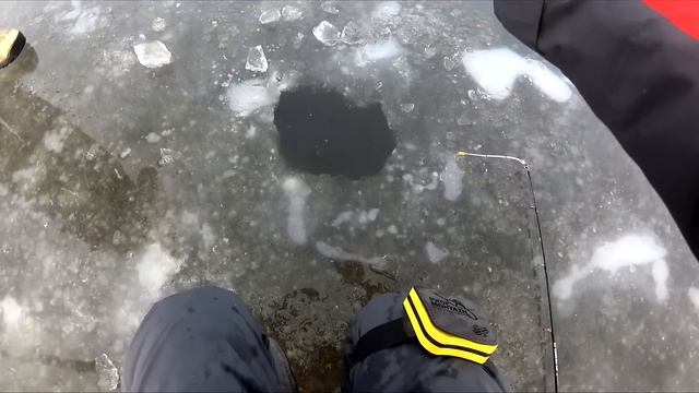 СНОВА ПЕРВЫЙ ЛЁД! САЗАНЫ РВУТ ЛЕСКУ, КАРАСИ КОНИ НЕ ЛЕЗУТ В ЛУНКУ! Зимняя рыбалка 2023 смотреть онлайн