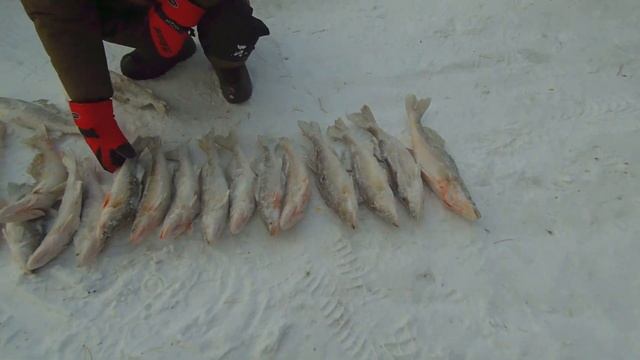 Верховья ОВХ .Судак смотреть онлайн