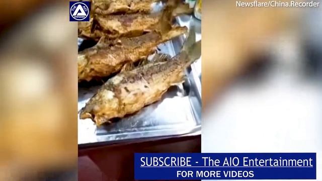 Выпотрошенная и жареная рыба вдруг зашевелилась смотреть онлайн