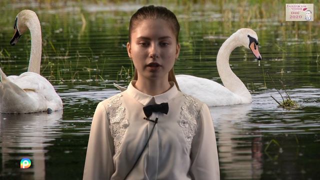 Красноселькуп."Лапцуевские чтения"Дарья Степанова читает легенду Романа Ругина"Почему лебеди белые смотреть онлайн