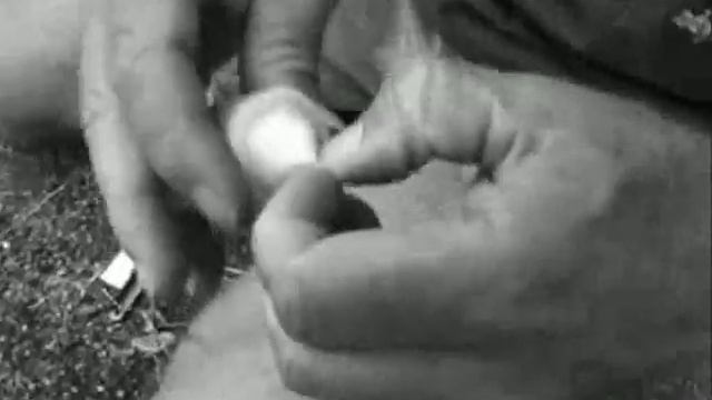 Survival Week - Wilderness Survival