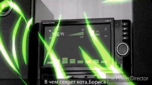 Секрет энергии кота Бориса (feat.кот Борис)