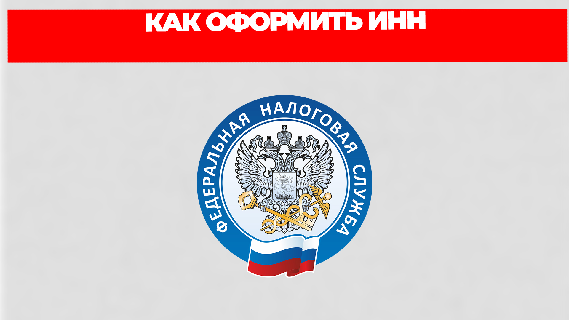 Всезнающий Енот