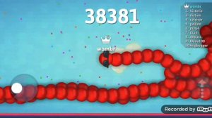 snake. io top1  я побил свой рекорд в snake.io