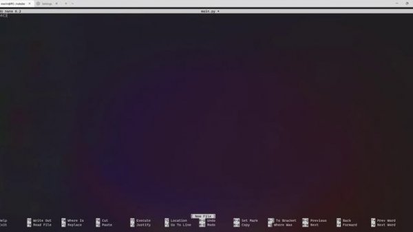 python | Hello World | lvl1