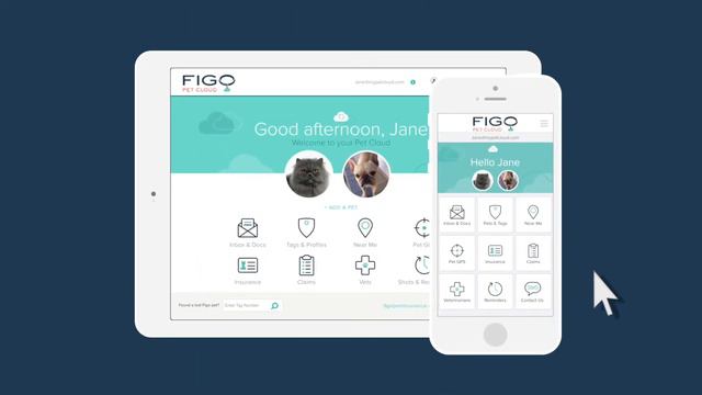Figo Pet Insurance смотреть онлайн