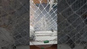 Вентирь, мережа, фитиль.