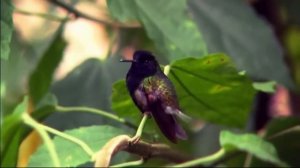 Да будет имя Бога благословенно