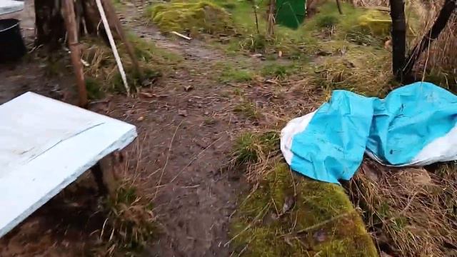 Сад в марте Посев семян на рассаду. смотреть онлайн