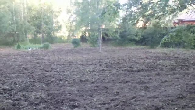 эконом вариант подготовки участка под посев газонных трав с выравниванием и укаткой валиком в ступи смотреть онлайн