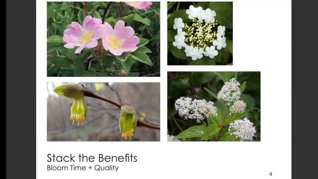 Earth Chapter 2: Attracting Hummingbirds and Shrubs for Wildlife смотреть онлайн