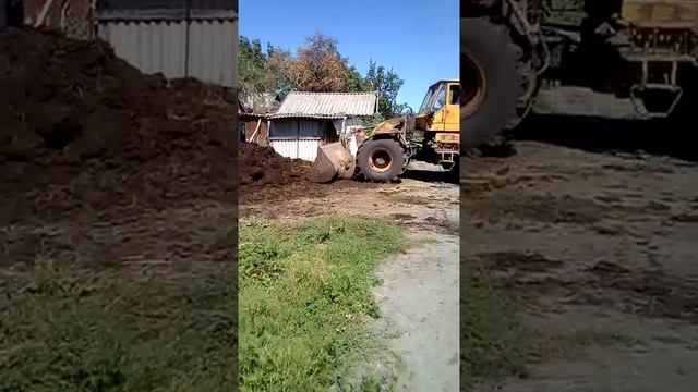 Вивозим навоз прт 10 мтз 892 і т 156 смотреть онлайн