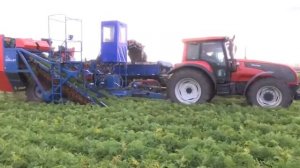 Информация о продаже земель сельхозназначения