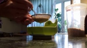 Прикорм с 4 месяцев, с 6 месяцев, гречневая каша для грудничка,как приготовить самостоятельно