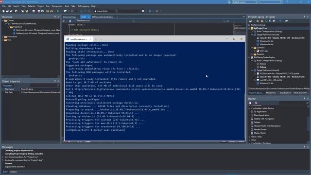 What's New in 10.3.3 - RAD Server and Docker смотреть онлайн