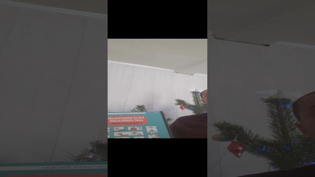 20240114_090832.mp4 смотреть онлайн