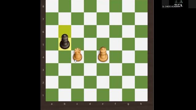 How To Play Chess Sinhala Part 10 смотреть онлайн