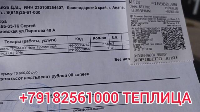 ПОКУПАЕМ ТЕПЛИЦУ ПОКА ДЁШЕВО! смотреть онлайн