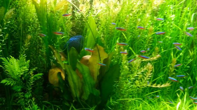 у нас день рождение ! нам 16 недель смотреть онлайн