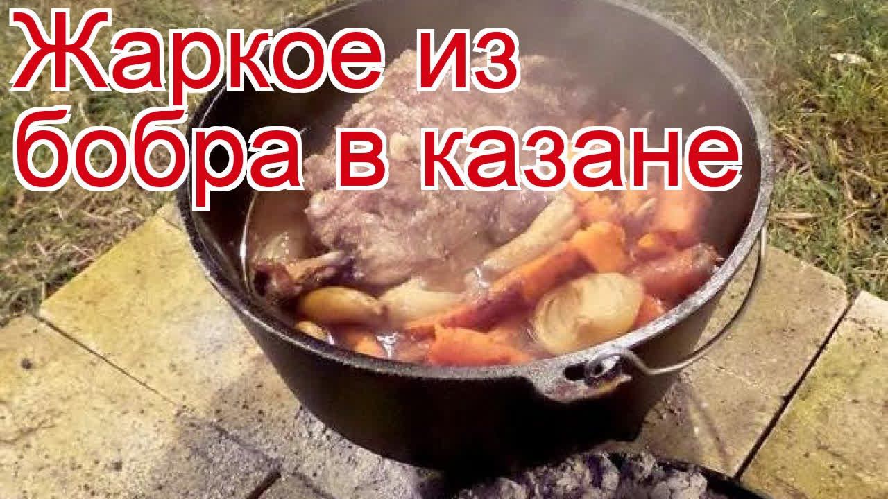 Рецепты из бобра - как приготовить бобра пошаговый рецепт - Жаркое из бобра в казане за 150 минут смотреть онлайн