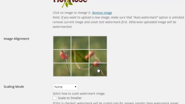 How To Add Watermark Automatically In WordPress? смотреть онлайн