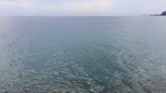 Вид на море на мысу полуострова Касандра смотреть онлайн