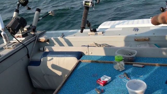 LAKE ERIE Charter boat fishing W/ MURPH III sports fishing! смотреть онлайн