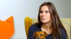 10 вопросов о ДЖЕК-РАССЕЛ-ТЕРЬЕРЕ