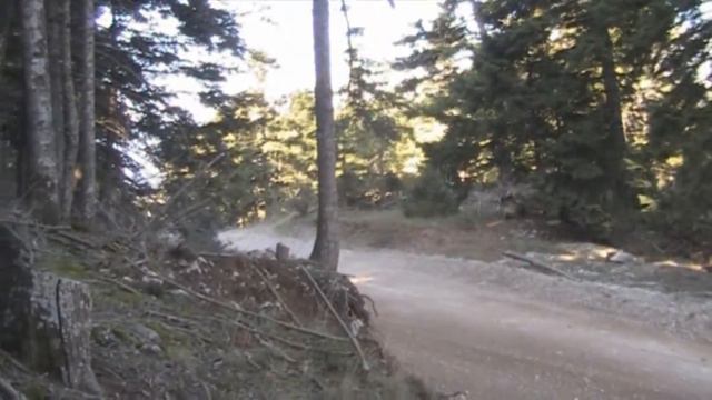 ERC: 34th ELPA Rally Day2 SS8 Drossohori 1 смотреть онлайн