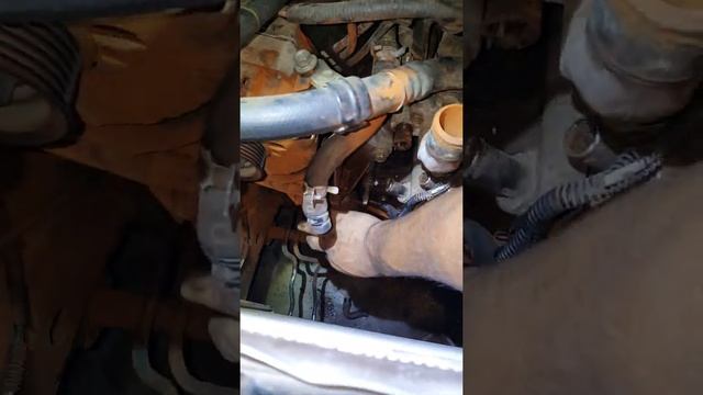 Ford Ranger 98 5.0 Cómo cambiar bomba de agua смотреть онлайн