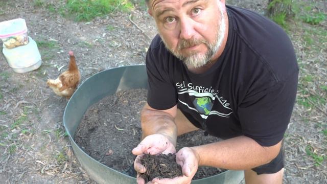 What Happened to the Chicken Compost Making Ring 3 Months Later? смотреть онлайн