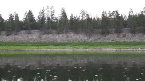 900 км по северным рекам. 24 дня один в тайге. Ч1. Одиночный поход, сплав - Чикшина, Кожва, Печора