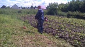 Бензокоса BRAIT отзыв и демонстрация 2 .