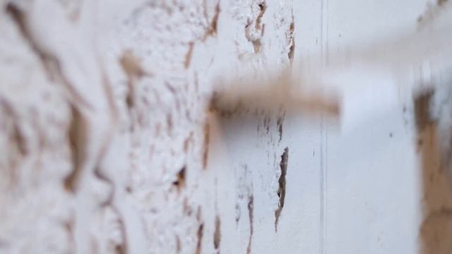 Презентация от директора нашей компании