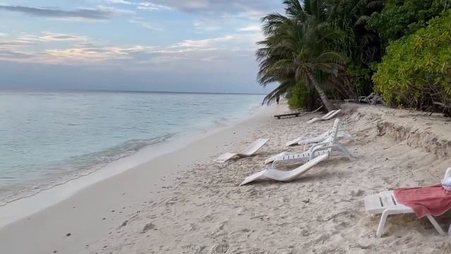 Место силы или рай на земле | Какие растения растут в раю и как они там выглядят смотреть онлайн