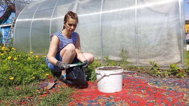 Готовлю пакеты под пчелоопыляемые огурцы смотреть онлайн