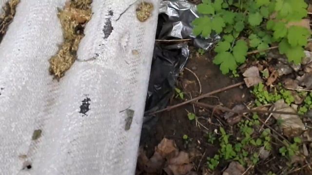 ОБРАЩЕНИЕ К ПРЕЗИДЕНТУ!!! смотреть онлайн