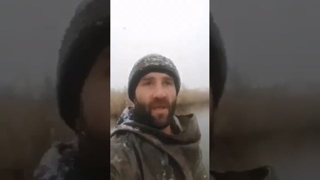 В ставропольском крае творится что-то ужасное! Множество погибших зверей и птиц! смотреть онлайн