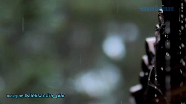 Прости меня