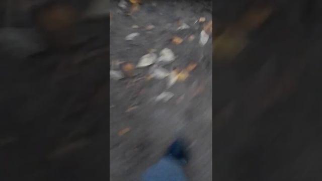 пацан нашёл 1000 рублей и телефон шок!!! смотреть онлайн