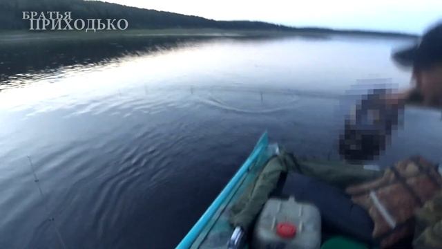 РЫБАЛКА СПИННИНГОМ НА ОКУНЯ И ЯЗЯ С ЛОДКИ / ДЕНЬ РЫБАКА смотреть онлайн