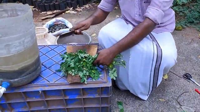 Bio Digesting Tank... ഇനി കൃഷി ആവശ്യത്തിനുള്ള വളം വീട്ടിൽ തന്നെ ഉണ്ടാക്കാം . смотреть онлайн
