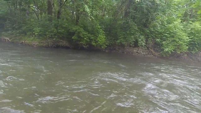 Рыбалка в тайге на горной реке 12.06.2021 года. Хариус. смотреть онлайн