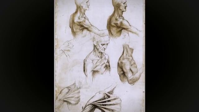 Leonardo Da Vinci: Anatomical Drawings Full Documentary 2017 смотреть онлайн